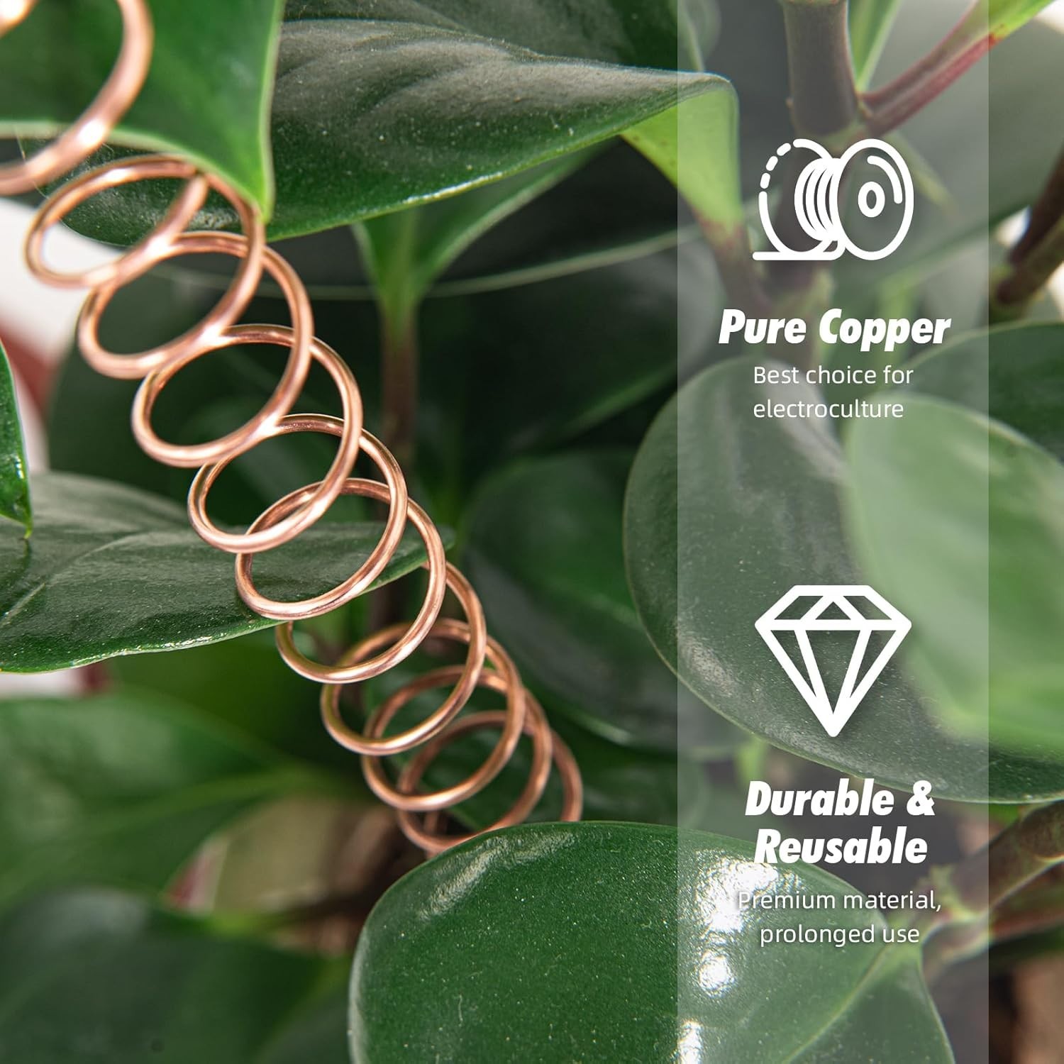 18 Gauge 60 FT Soft Copper Wire – Ideal for DIY Crafts & Electroculture